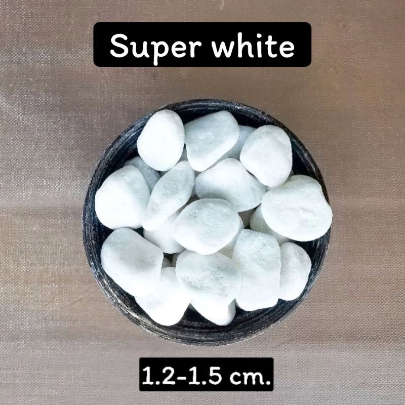 หินโรยกระถาง super white (1kg.) หินโรยพื้น หินแต่งสวน