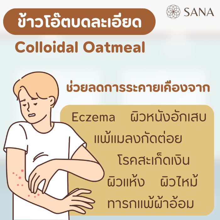 รูปภาพ 2