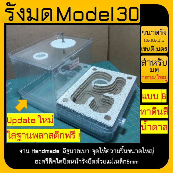รังมด Model 30 (Ant nest) แนวนอน ไซส์กลาง มีถาดรอง