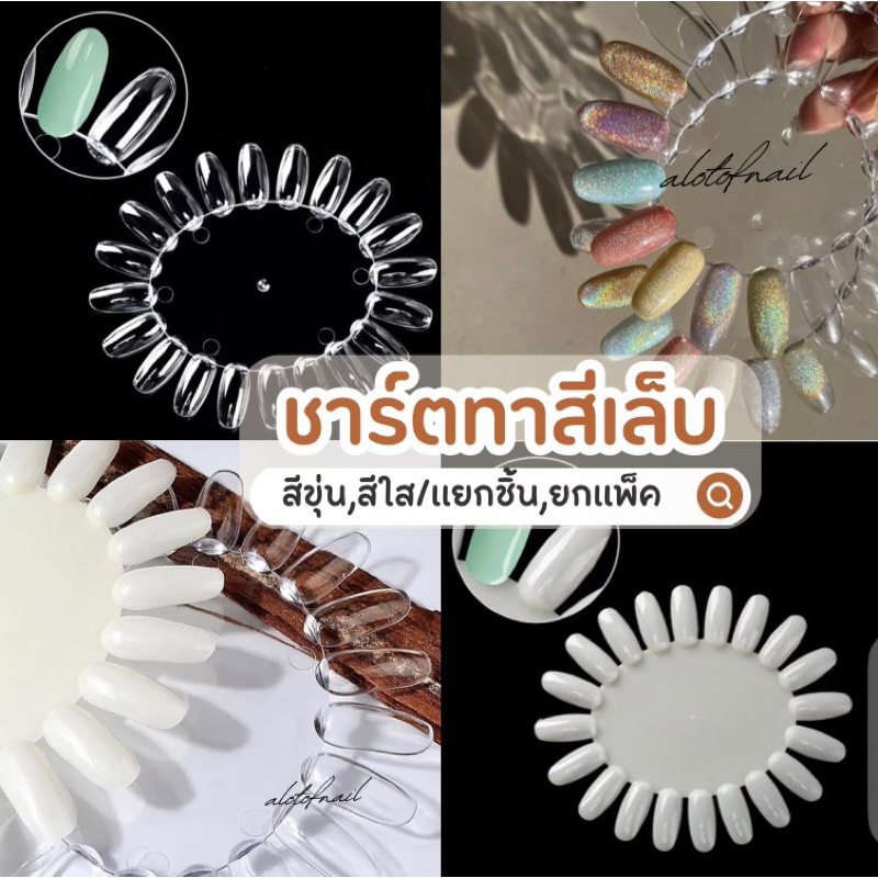 ชาร์ตโชว์สีทาเล็บทรงรี สีขุ่น,สีใส (แยกชิ้น)(ยกเเพ็ค)