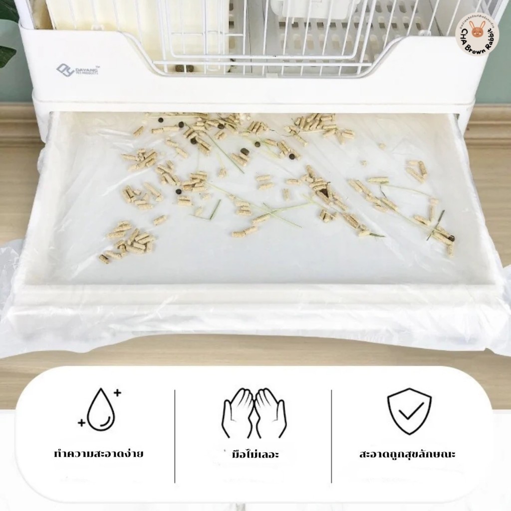 รูปภาพ 2