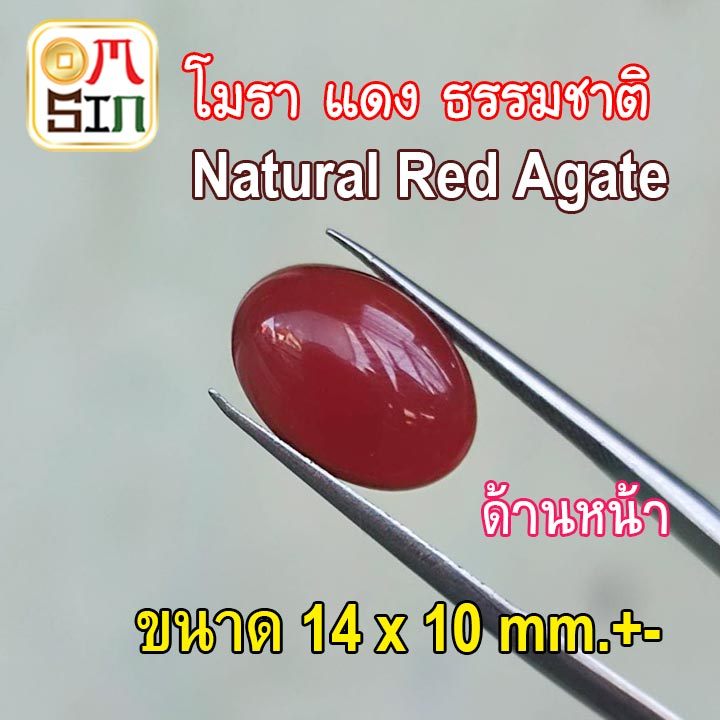 💎❤️A309 14 x 10 mm.+- 1 เม็ด โมรา สีแดง ไข่ หลังเบี้ย พลอย อาเกต โมรา ก้นแบน Agate Natural Chalcedony ธรรมชาติ