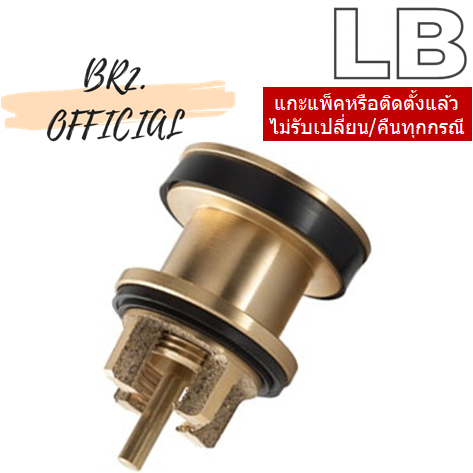 LB-123/3012 ลูกสูบฟลัชวาล์ว