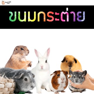 ขนมกระต่าย ไม้เเอ๊ปเปิ้ลลับฟัน ลูกสน ไผ่หวาน วอทนัท ข้าวโพด …