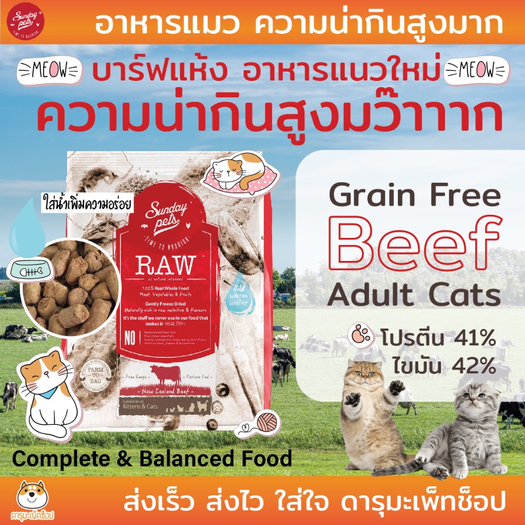 กินง่าย แมวกินยากสบาย RAW อาหารแมว บาร์ฟแห้ง Sunday Pets 454 G