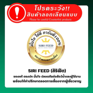 [ของแท้100%]โปรเทค3000 กำจัดสาหร่ายตายใน 3 วัน ตะไคร่ น้ำเขียว น้ำแดง ใช้ระหว่างเลี้ยงสัตว์น้ำ ย่อยสลายเอง ไม่ตกค้าง