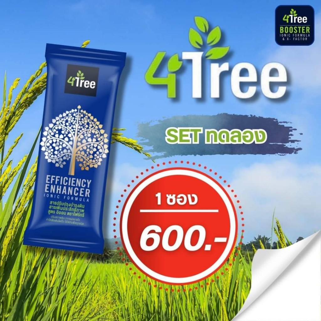 4Tree​(โฟร์​ทรี)​ 1 ซอง ของแท้ ใช้ได้ 15-20 ไร่ พืชโตเร็ว ใช้ได้กับพืชทุกชนิด ส่งฟรีเก็บเงินปลายทาง