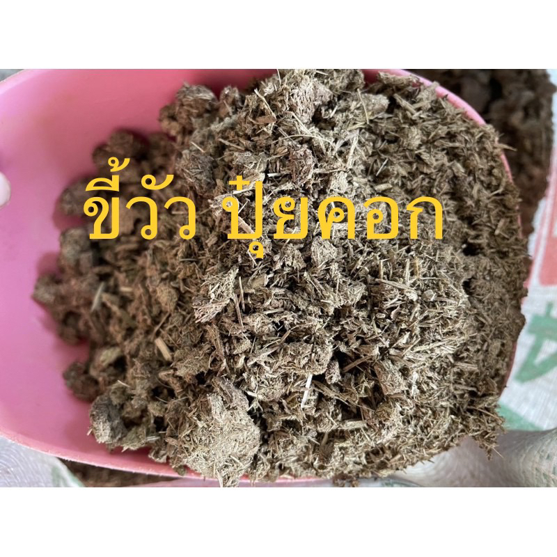 ขี้วัวแท้ 💯 ปุ๋ยคอก ปุ๋ยขี้วัว ขี้วัว ปุ๋ยบำรุงต้นไม้