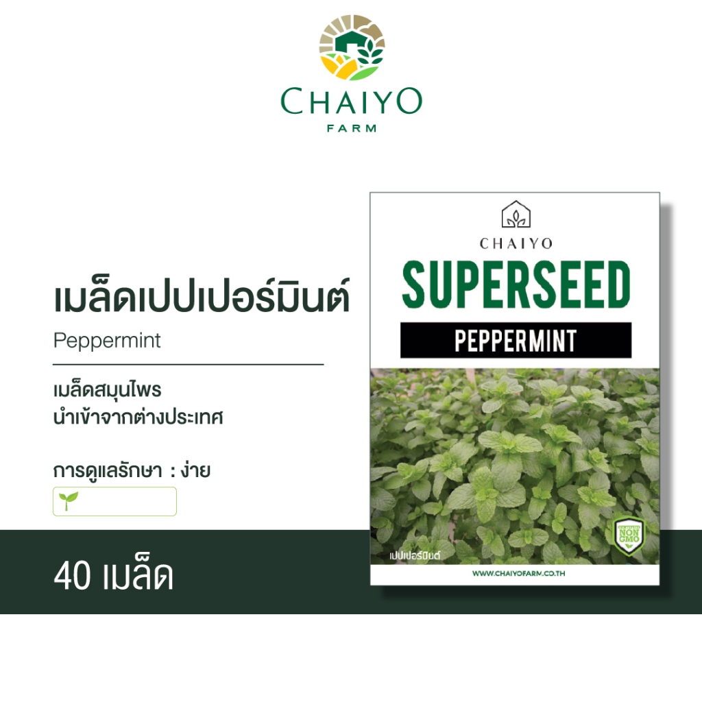 เมล็ด เปปเปอร์มินต์ PEPPERMINT seed