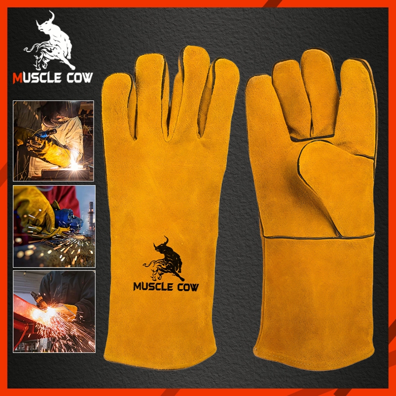 ถุงมือหนังงานเชื่อม 10.5" และ13" Muscle Cow ทำจากหนังวัวชั้นที่ 2 ทั้งชิ้น เบาและสามารถระบายอากาศได้ดี