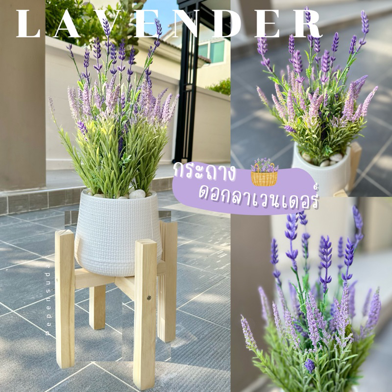 [ออกใบกำกับภาษีได้] 💜กระถางลาเวนเดอร์ LAVENDER (พร้อมกระถางและหินโรย!!) สูง 50 70 ซม. ต้นไม้ประดิษฐ์ตกแต่งบ้าน