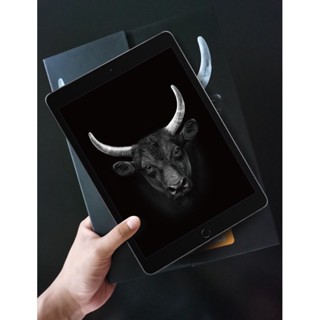 KING BULL ฟิล์มกันรอยแบบด้าน สำหรับ iPad ทุกรุ่น