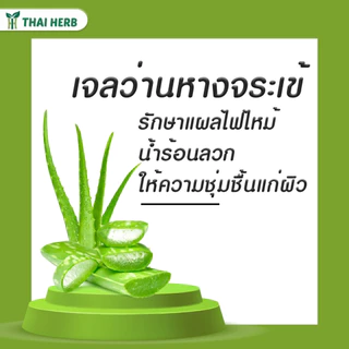 Phytocare เจลว่านหางจระเข้ ขนาด 30g