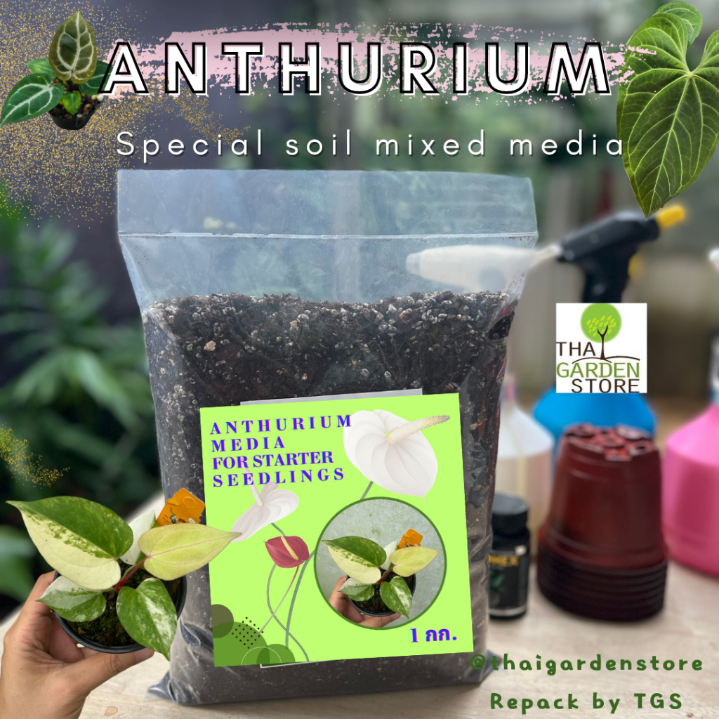 ดินพร้อมปลูกหน้าวัว Anthurium Special Mixed  ”ดินลูกวัว“ สูตรผสมพิเศษสำหรับกระถาง 2-3 นิ้ว ขนาด 1กก.