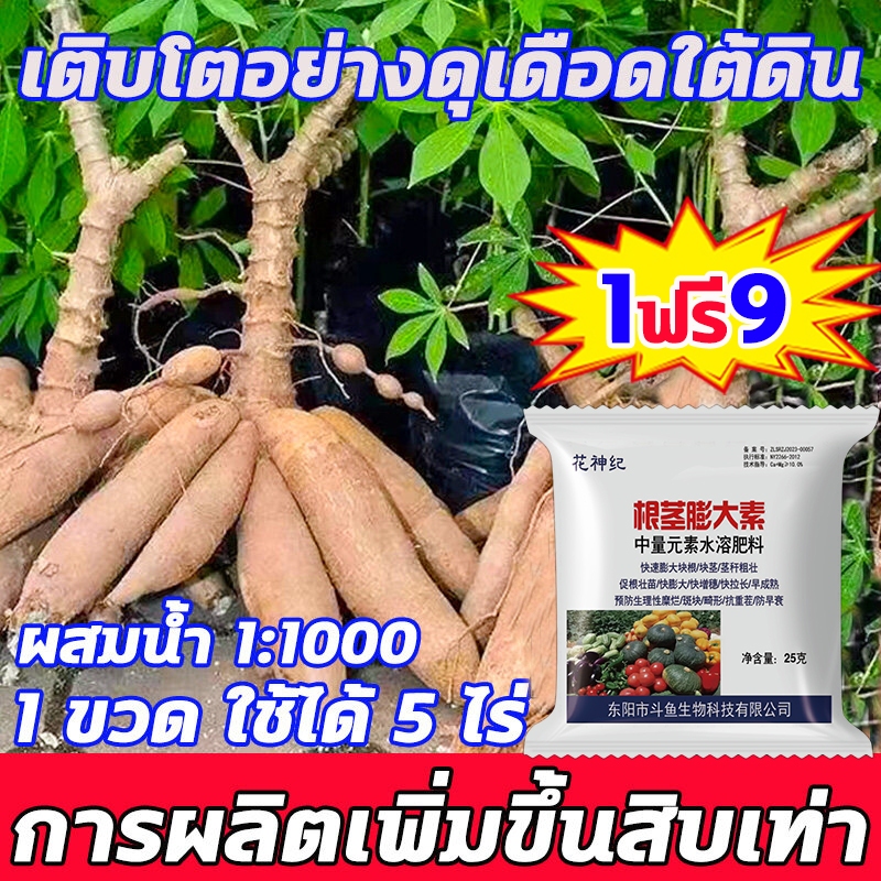 🍠เติบโตอย่างดุเดือดใต้ดิน🍠 ฮอร์โมนมันสำปะหลัง ปุ๋ยเร่งหัวมัน ฮอร์โมนระเบิดหัว ทำให้พืชผลใหญ่ขึ้นและมีผลผลิตมากขึ้น