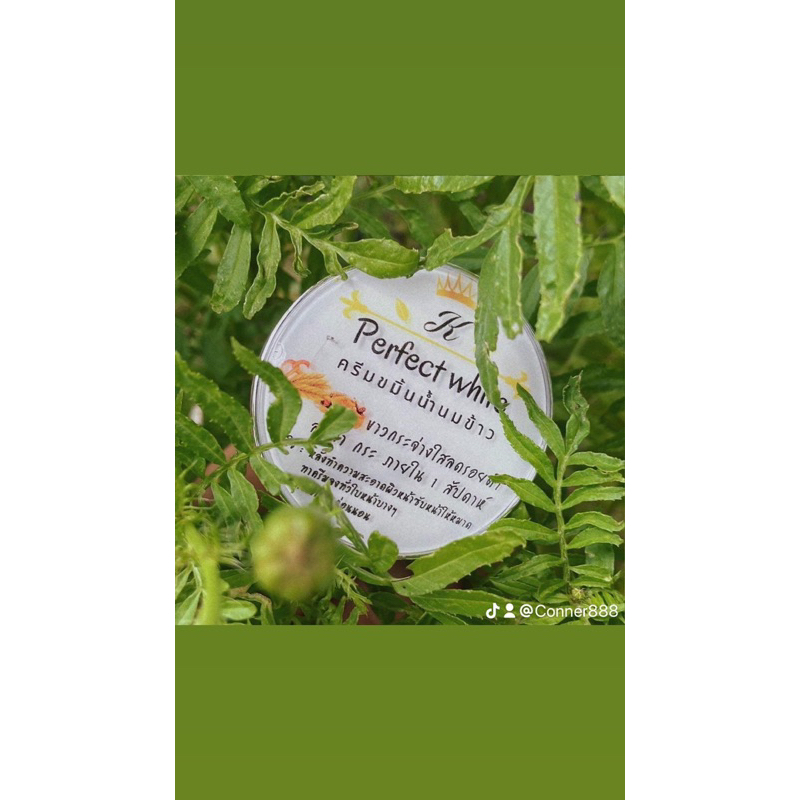 ครีมขมิ้นน้ำนมข้าว by Kperfect white
