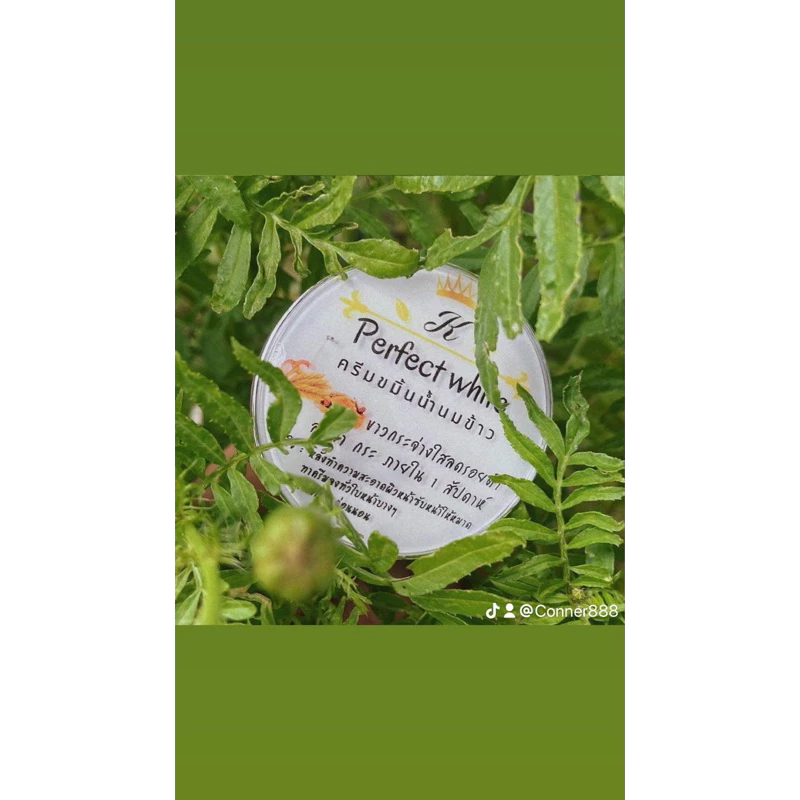 ครีมขมิ้นน้ำนมข้าว by Kperfect white