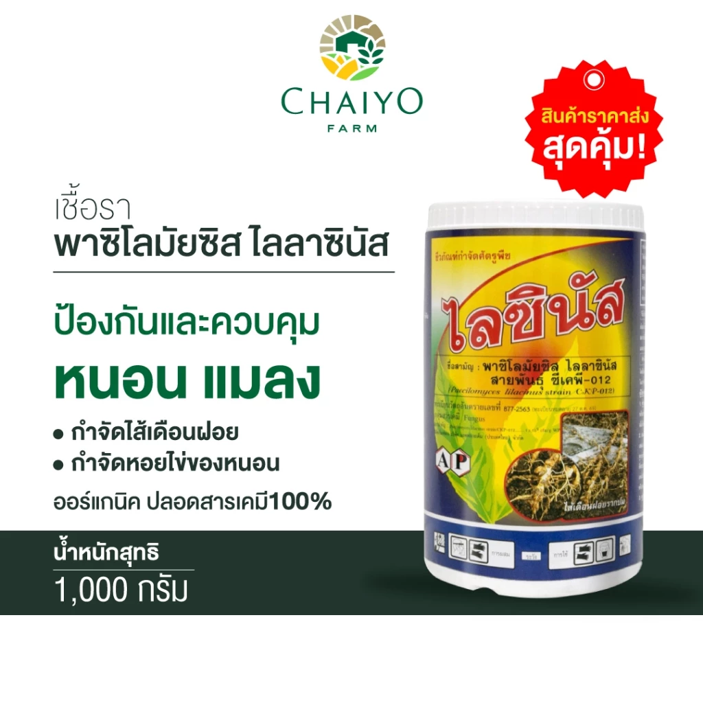 ชีวภัณฑ์ ไลซินัส เชื้อรา พาซิโลมัยซิส ไลลาซินัส 1000 กรัม