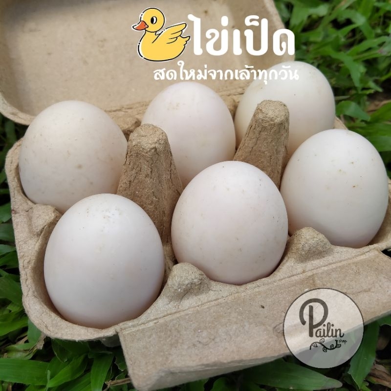 ไข่เป็ด สดใหม่จากเล้าทุกวัน คละไซส์
