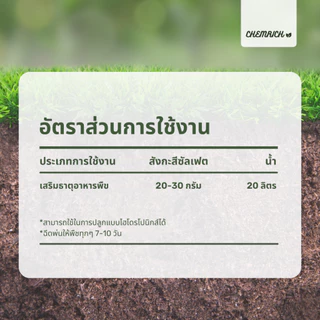 500G/1KG สังกะสีซัลเฟต ธาตุอาหารสังกะสี (สังกะสี ซัลเฟต เฮปตาไฮเดรต,กรดกำมะถันขาว) / Zinc sulfate heptahydrate -Chemrich