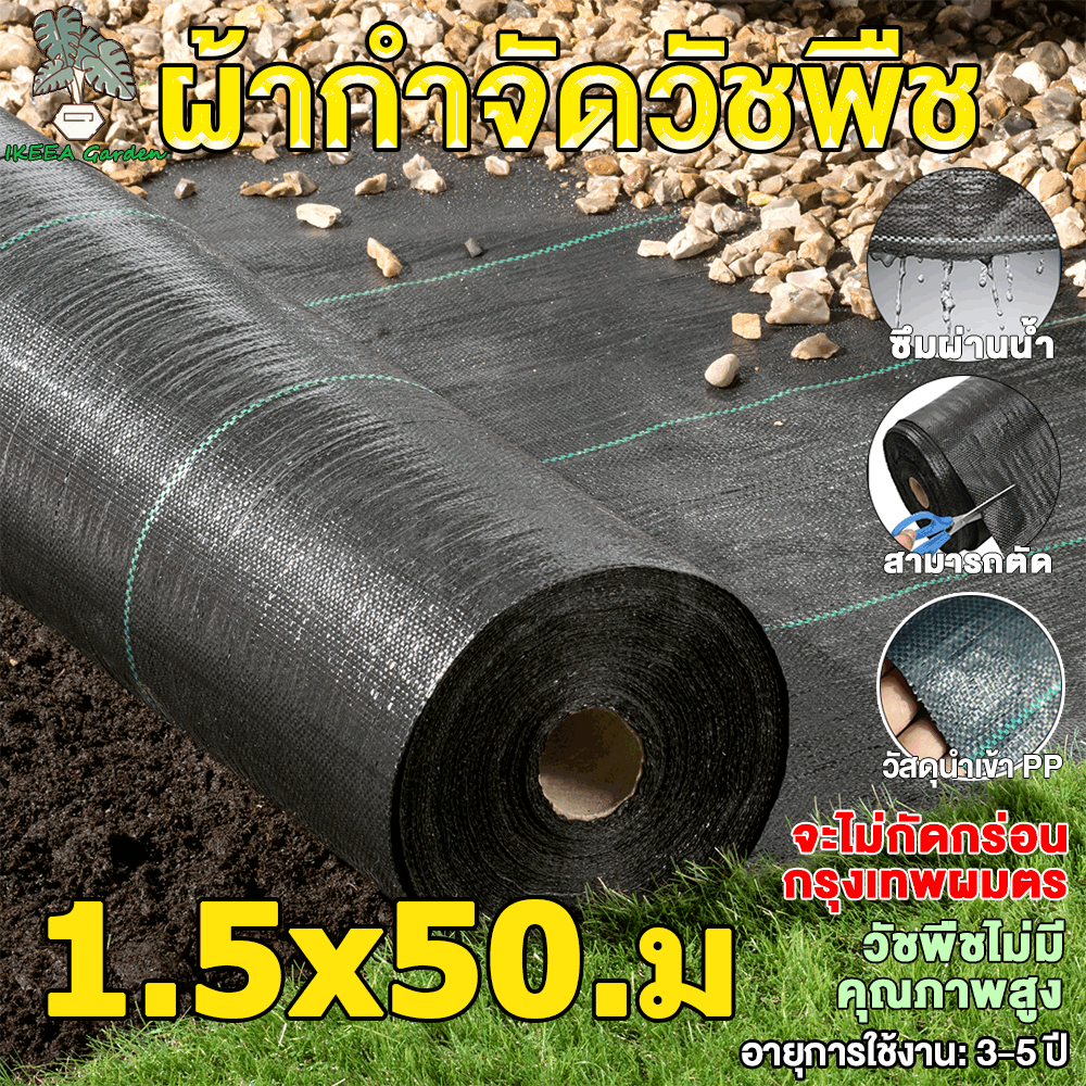 พลาสติกคลุมดิน พลาสติกคลุมหญ้า ป้องกันวัชพืช พลาสติกคลุมวัชพืช หมดปัญหาหญ้าขึ้นกวน ขนาด 1.5x50 ม ผ้าคลุมดิน กันยูวี100%