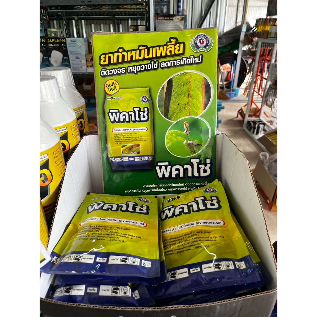 พิคาโซ่ ขนาด 100 กรัม (เพลี้ยกระโดสีน้ำตาล เพลี้ยจักจั่นฝอย)│เทพวัฒนา ตราปลาคู่│สารป้องกันกำจัดศัตรูพืช