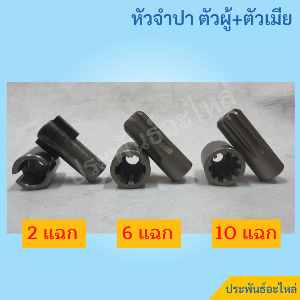 หัวจำปา 2แฉก 6แฉก 10แฉก ตัวผู้+ตัวเมีย