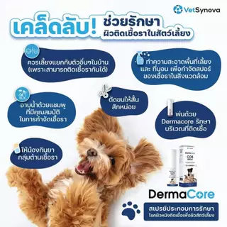 DermaCore COS สเปรย์【แท้100%】EXP9/26 - 5/28 ดูแลผิวหนัง บรรเทาอาการคัน ลดอาการแพ้ อักเสบ อ่อนโยน ปราศจากแอลกอฮอล์