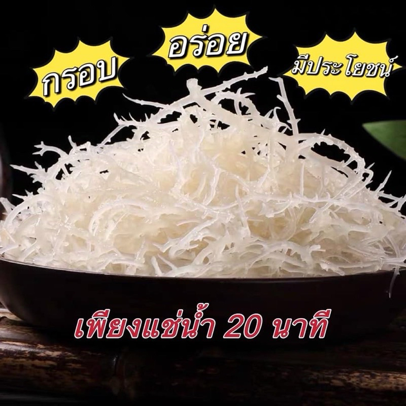 สาหร่ายทะเลขาวอบแห้ง เนื้อเด้ง กรุบกรอบ เคี้ยวสนุก ยำอร่อยได้ทุกเมนู สาหร่ายทะเลธรรมชาติสีขาว 150g 龙须菜 海带