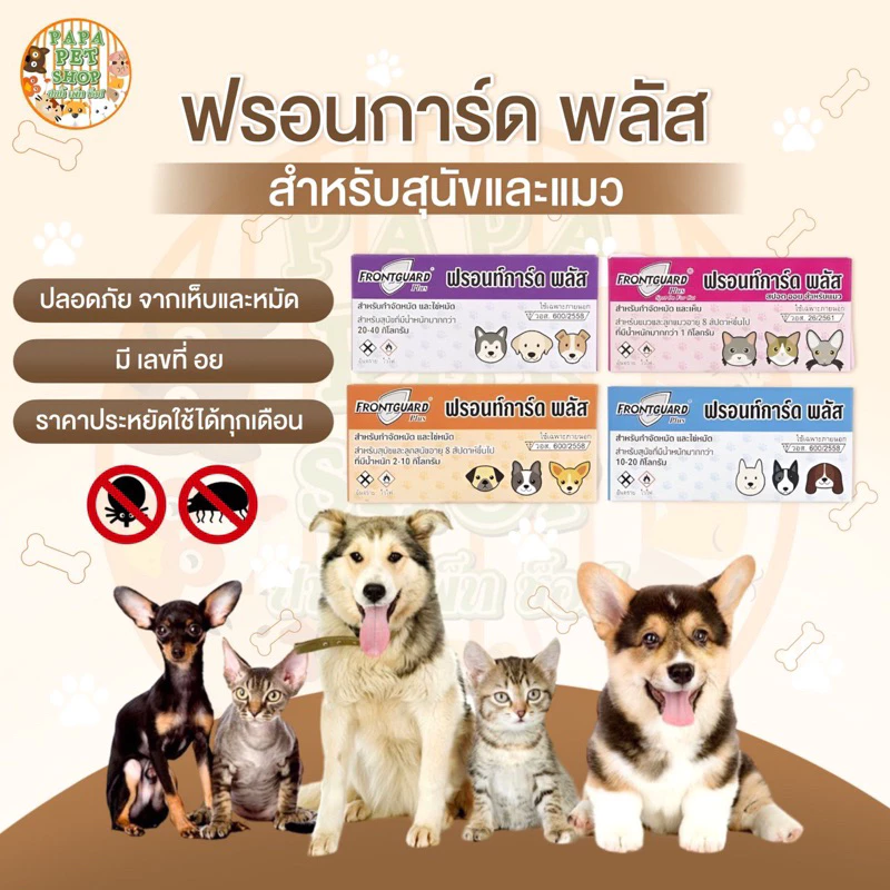 [สินค้าขายดีอันดับ1] ยาหยอดเห็บและหมัด Frontguard Plus ฟรอนการ์ด พลัส สำหรับสุนัขและแมว