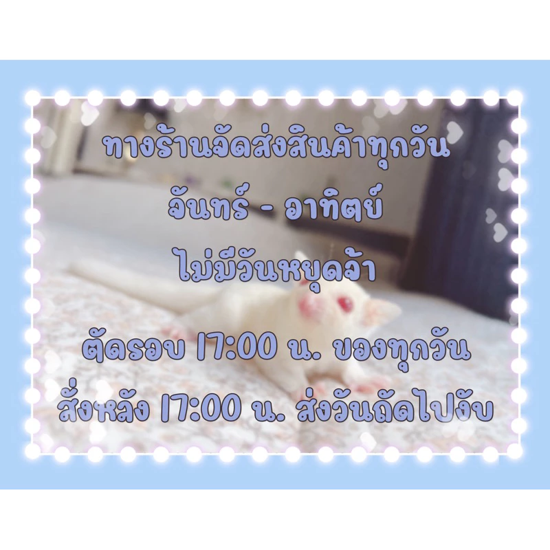 🌟🦔ขนาดใหม่ ใหญ่จุใจ!!🧨ของทานเล่นเพิ่มโปรตีนสำหรับสัตว์เลี้ยง thumbnail 10