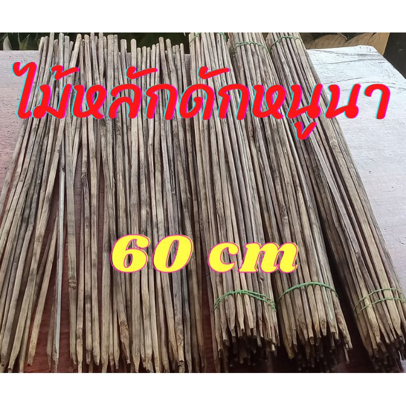 ไม้หลักดักหนูนา ขนาด 60 เซ็นติเมตร ไม้ใส่บ่วงดักหนู ไม้บ่วงดักหนูนา