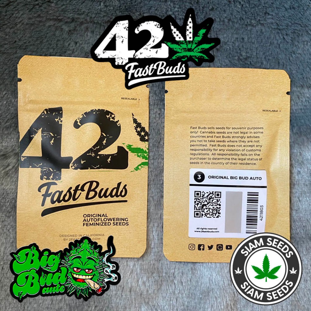 เมล็ดกัญชา Fastbuds Original Big Bud Auto Cannabis Seeds (Pack of 3)