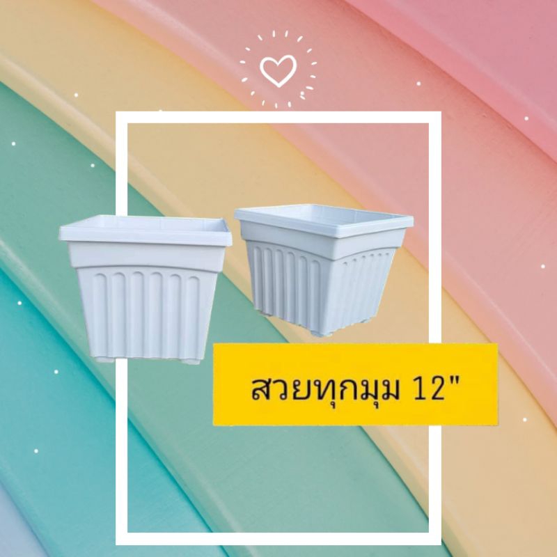#กระถางต้นไม้พลาสติก #กระถางสี่เหลี่ยมจตุรัส #กระถางสีขาว #กระถางขนาดกลาง #กระถางราคาถูก