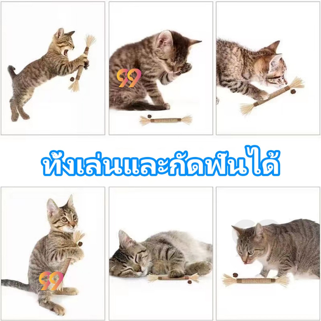 99PET ไม้มาทาทาบิ ขัดฟันแมว แบบเชือก ไม้ขัดฟันแมว ของเล่นแมว ลดคราบหินปูน สําหรับสัตว์เลี้ยง แมว รูปที่ 4