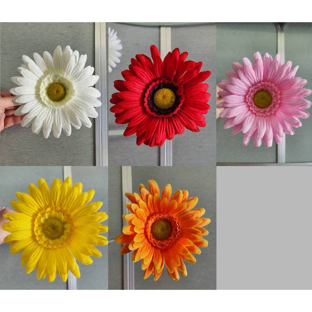 ดอกไม้ เยอบีร่า (gerbera) สำหรับแต่งแจกันโฟล์ค คลาสิค Volkswagen Classic ตกแต่งบ้าน