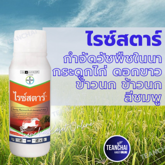 ไรซ์สตาร์®( ของแท้100%) (Ricestar®)ยาฆ่าหญ้า กำจัดวัชพืชในนาช้าว ฆ่าหญ้าใบแคบ หญ้าข้าวนก หญ้าดอกขาว กระดูกไก่ ข้าว