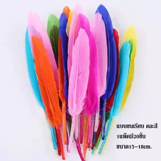 ขนนกDIY คละสี สำหรับตกแต่ง มีทั้งขนนกขนฟูและขนเรียบ สีสันสวย ขนกนกตกแต่งสำหรับเครื่องประดับ พร้อมส่ง