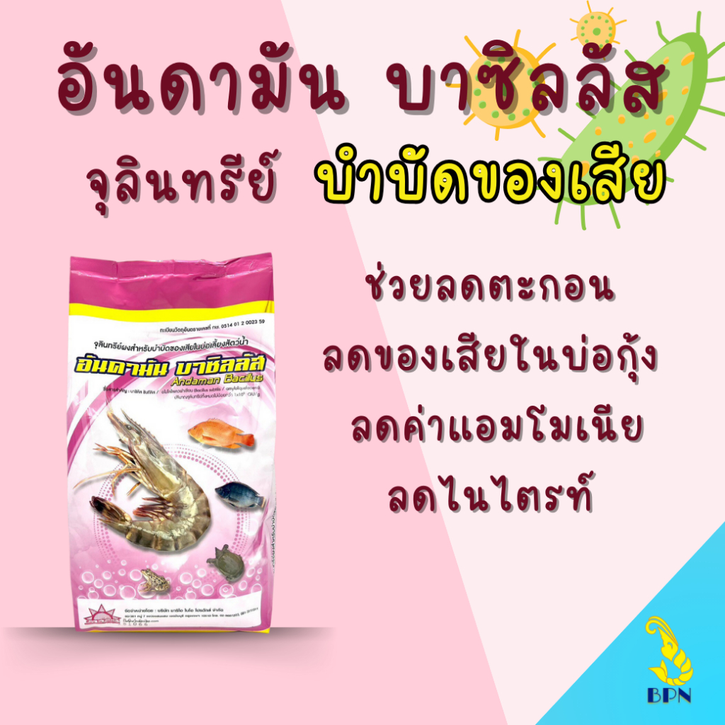 จุลินทรีย์ อันดามัน บาซิลลัส 1 กิโล แก้ปัญา น้ำเน่าเสีย ลดตะกอน ส้วมมีกลิ่น