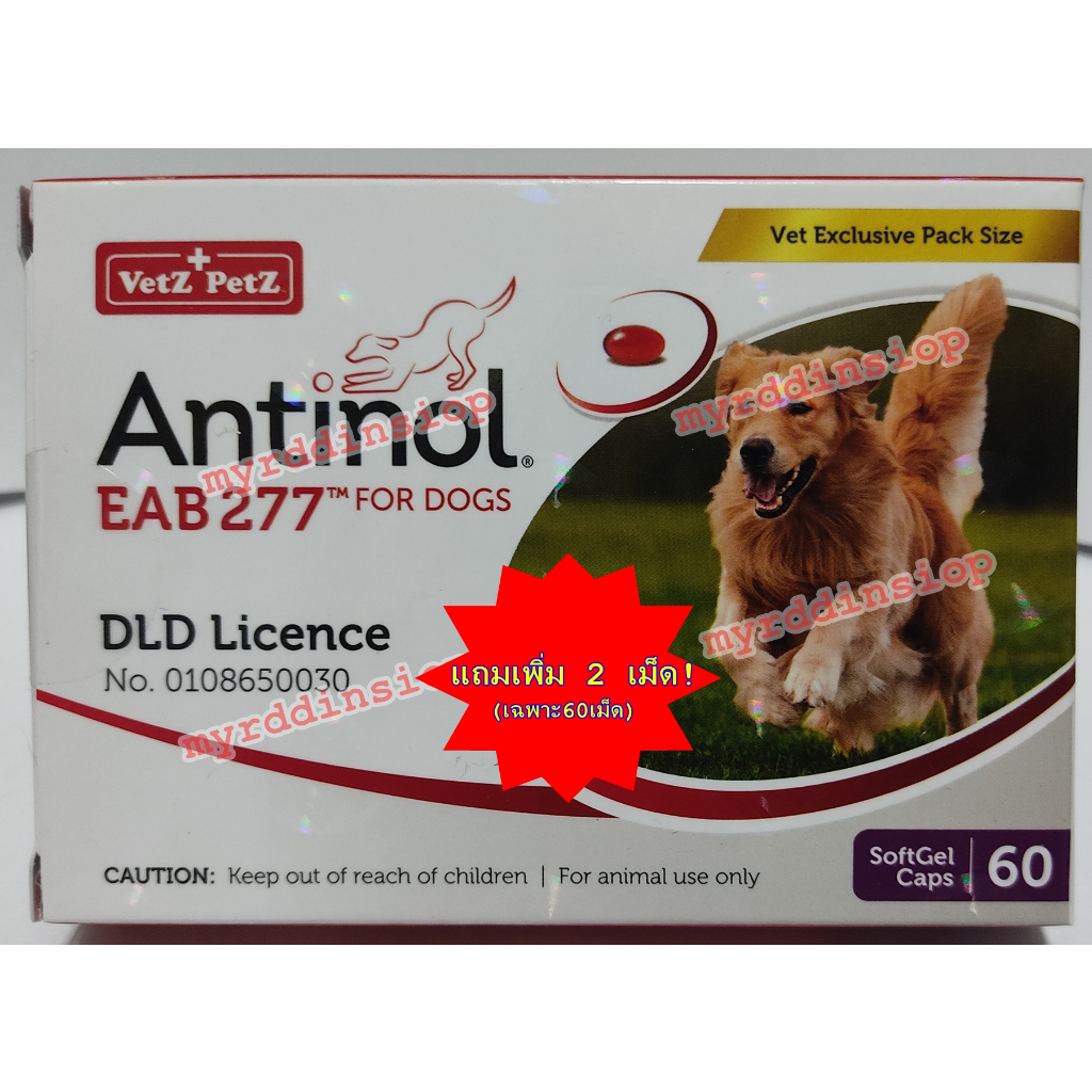 Antinol บรรจุ 60 เม็ด สำหรับสุนัขและแมว บำรุงข้อ