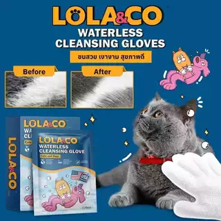 CatHoliday โลล่าแอนด์โค LoLa&Co ปลอกนิ้วเช็ดหู ปลอกนิ้วแปรงฟัน ถุงมือเช็ดทำความสะอาด แผ่นทำความสะอาดตา