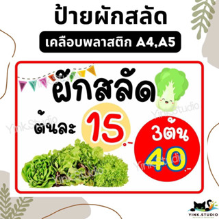 ป้าย ขายผักสลัด แก้ไขราคาฟรี  | ป้ายไวนิล | ป้ายเคลือบพลาสติ…