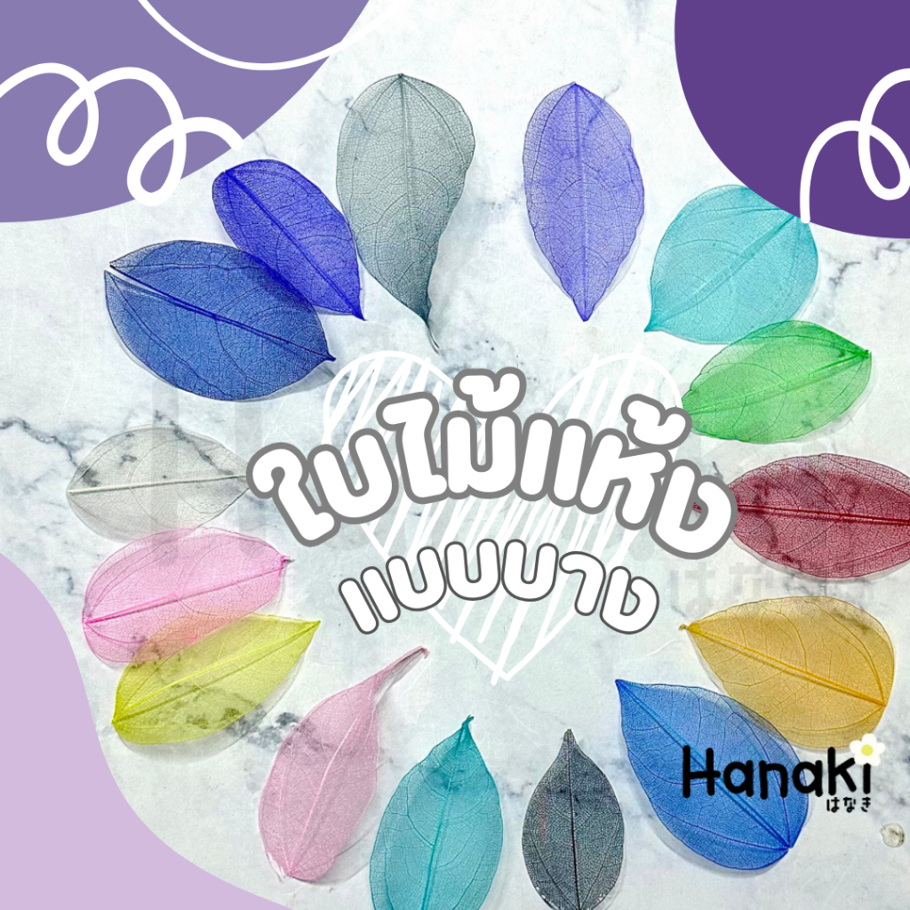 【พร้อมส่ง】ใบไม้แห้งแบบบาง โครงใบไม้ ขนาด 4-8cmมีหลายสี🍁ใบไม้แห้ง
