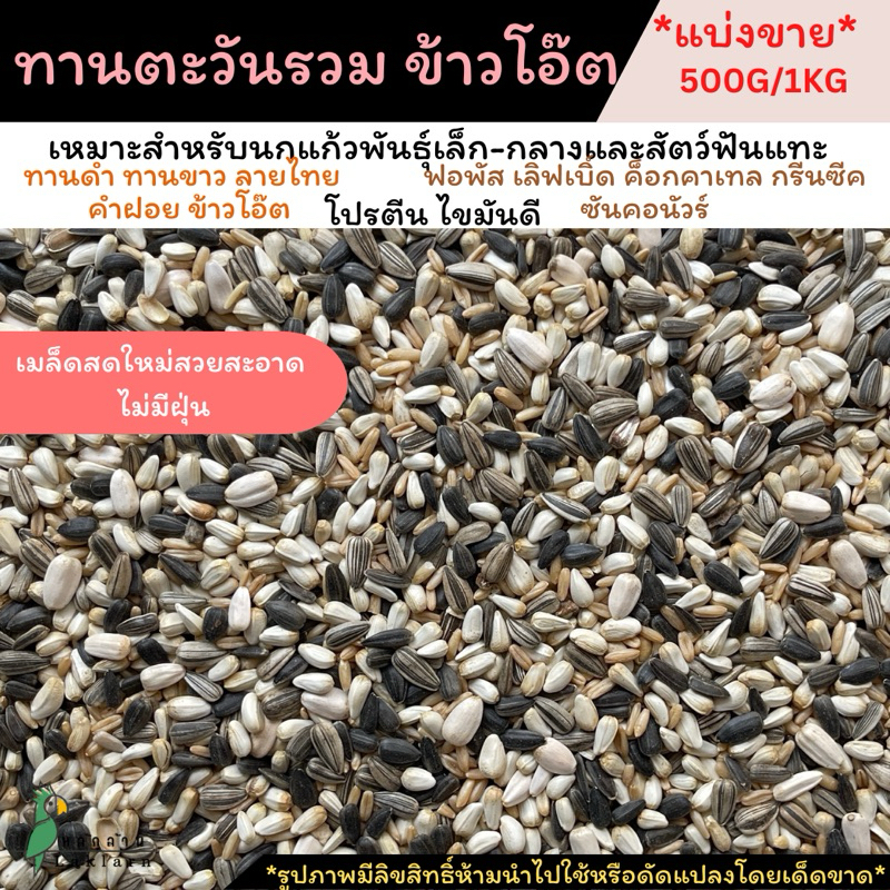 พร้อมส่ง!!ทานตะวันรวม ข้าวโอ๊ต สำหรับนกแก้วทุกสายพันธุ์ และสัตว์ฟันแทะ ขนาด500กรัม/1กิโล