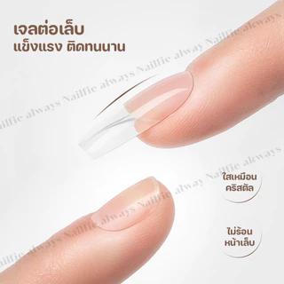 ✅ TPO-FREE Gulauri Diamond Sculptor Gel เจลต่อเล็บ แข็งแรงเหมือนอะคริลิค ไม่ร้อนหน้าเล็บ Builder gel