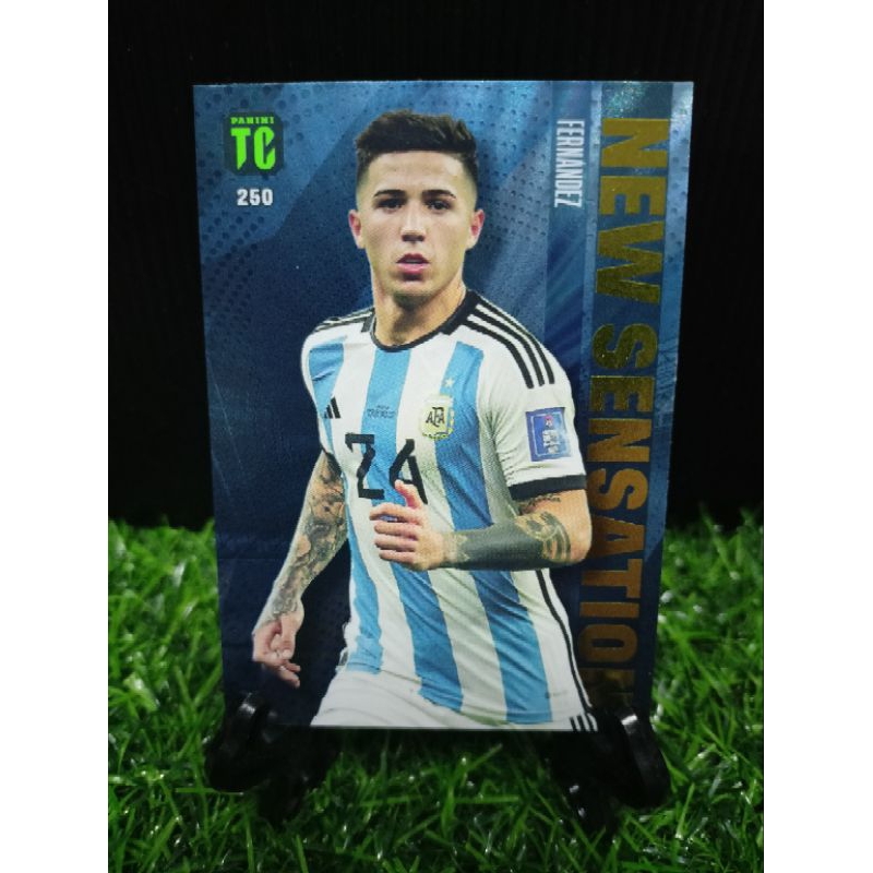 ENZO FERNANDEZ - NEW SENSATION - 250 - ARGENTINA - TOP CLASS 2023 PANINI
