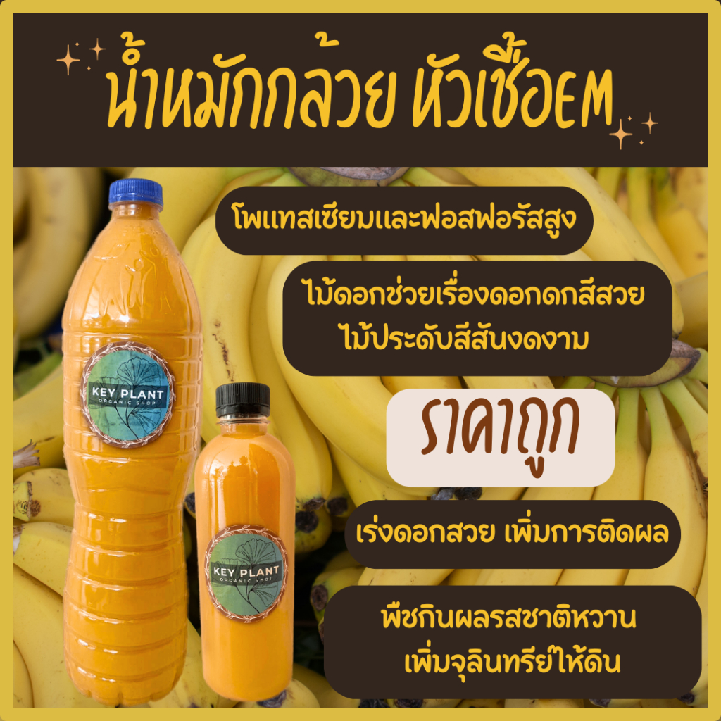 น้ำหมักกล้วย บำรุงไม้ดอกไม้ประดับสีสวย น้ำหมักผลไม้หัวเชื้อem ปุ๋ยอินทรีย์ออแกนิกโพรแทสเซียมฟอสฟอรัส