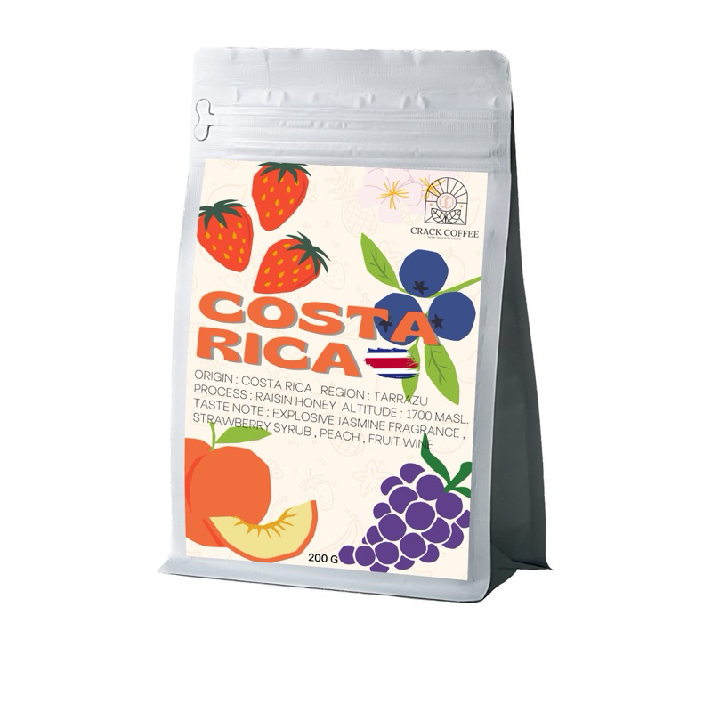 บดฟรี - COSTA RICA TARRAZU