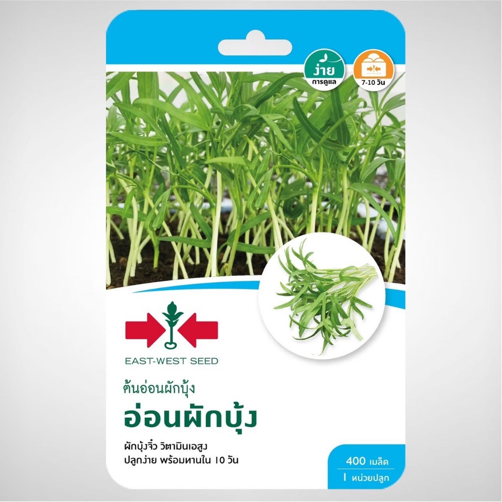 ต้นอ่อนผักบุ้ง อ่อนผักบุ้ง 400 เมล็ด ตราศรแดง