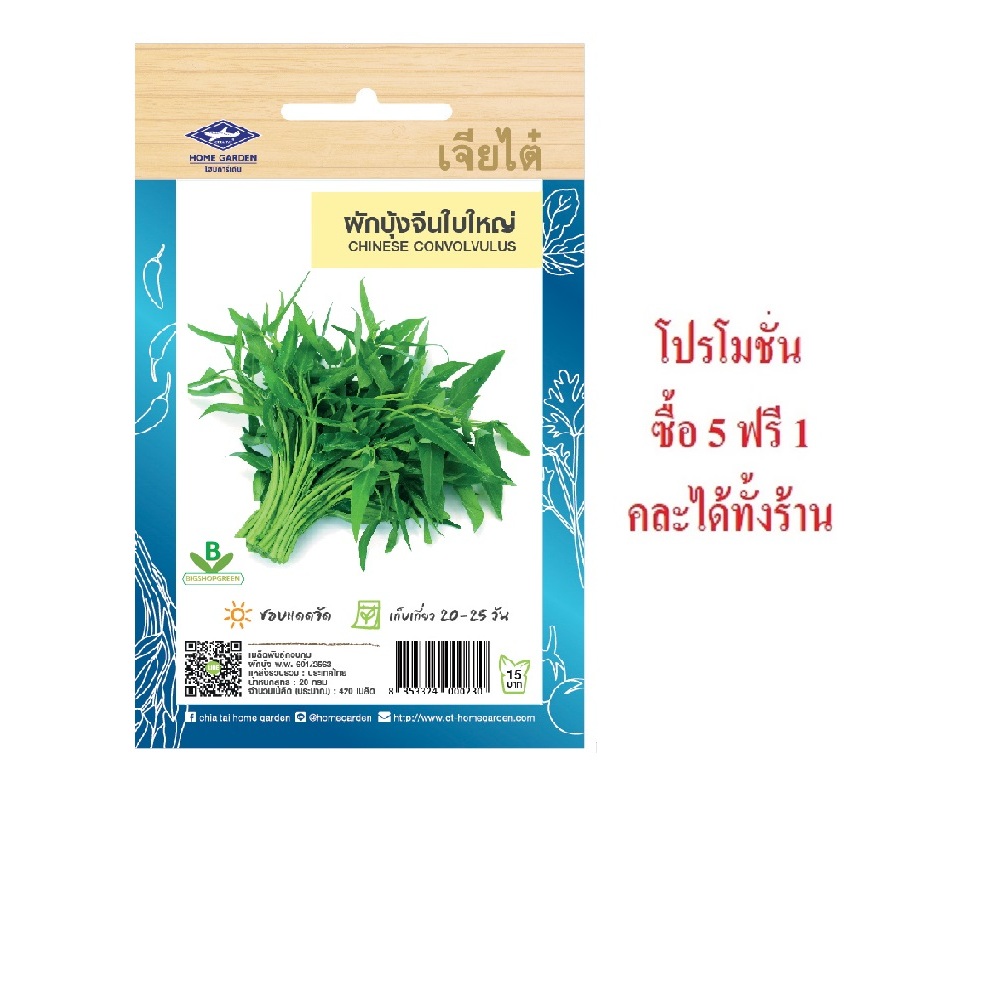 5 แถม 1 คละได้ทั้งร้าน เมล็ดพันธุ์ ผักบุ้งจีนใบใหญ่ เจียไต๋ ความงอกดี ปลูกง่าย โตไว